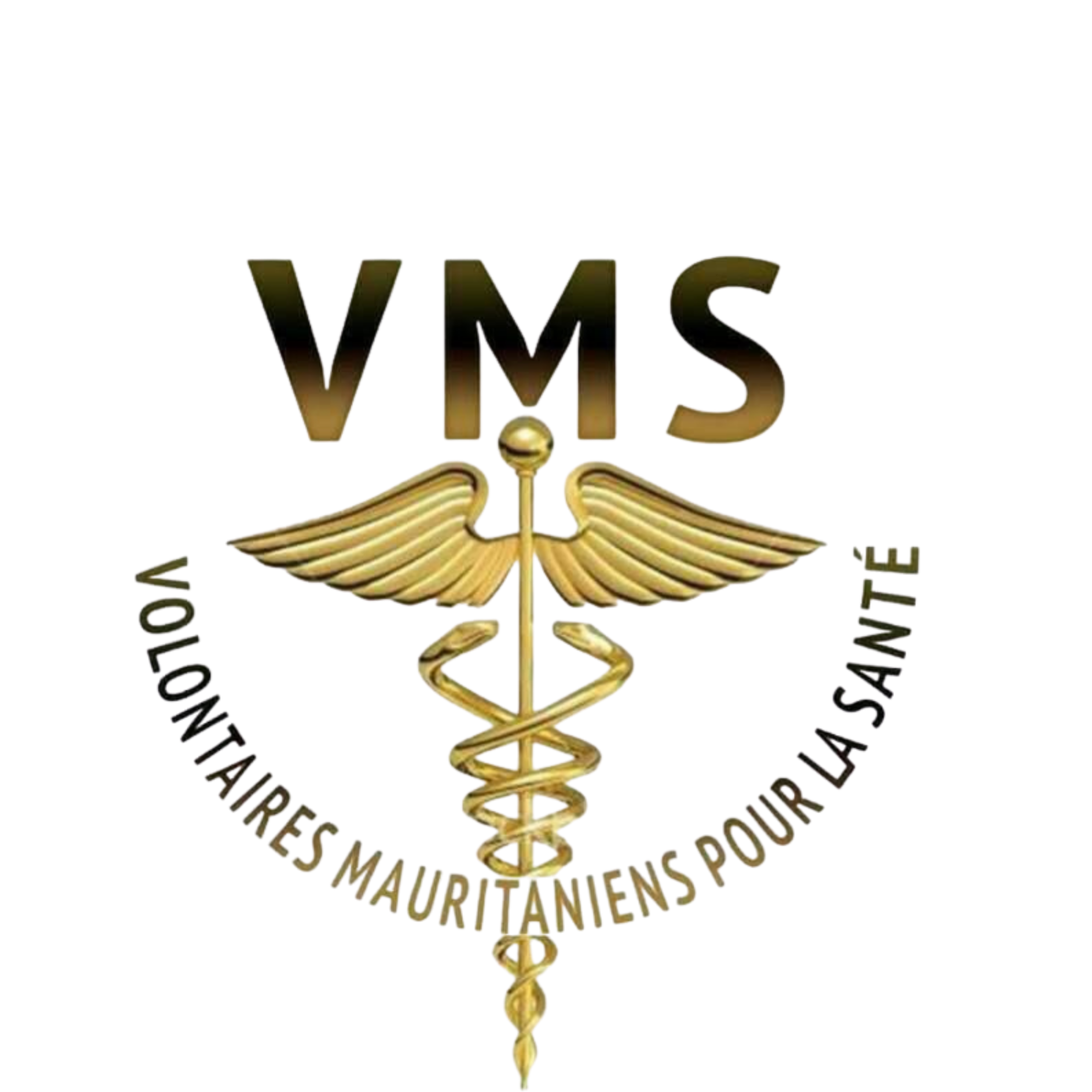 Accueil logo vms
