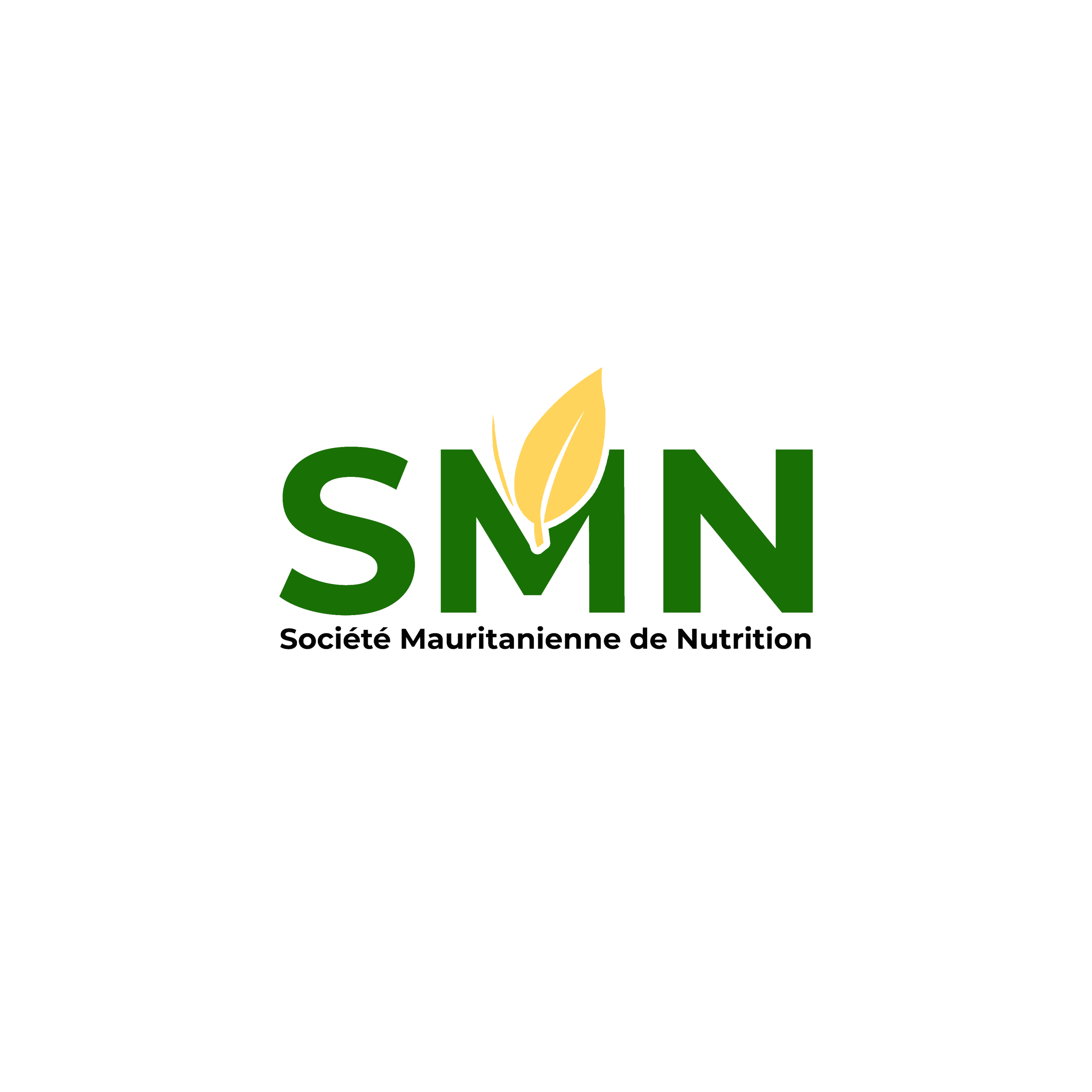 Accueil smnlogo (1)